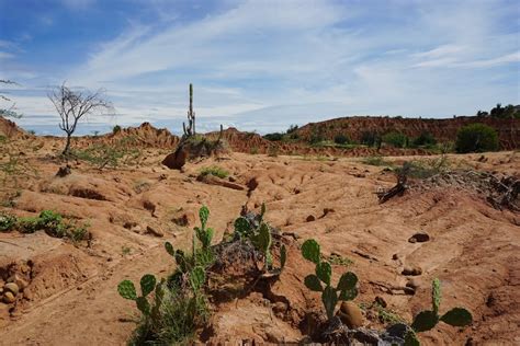  Discovering Deserts A Photographic Journey Through the Empty Heart of Colombia